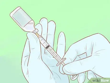 Imagen titulada Administer Insulin to a Cat Step 5