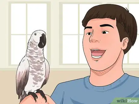 Imagen titulada Teach Your Bird to Talk Step 6