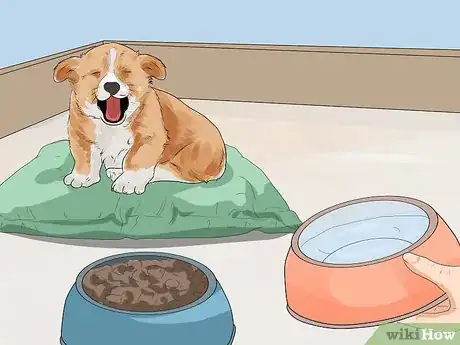 Imagen titulada Care for a Puppy when You Work Full Time Step 9
