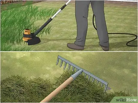Imagen titulada Get Rid of Bumble Bees Step 1