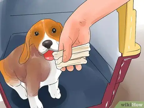 Imagen titulada Take Care of a Beagle Puppy Step 23