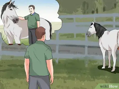 Imagen titulada Take a Horse's Temperature Step 9