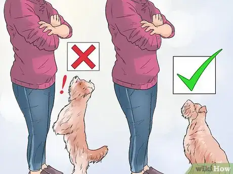 Imagen titulada Deal with Your Annoying Dog Step 1