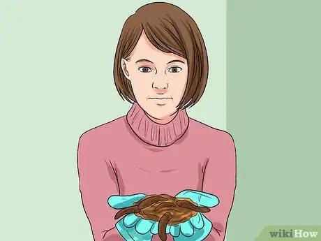 Imagen titulada Keep Fishing Worms Alive for Fishing Step 1