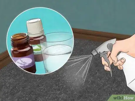 Imagen titulada Get Rid of Fleas in Carpets Step 25