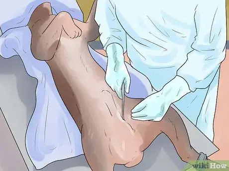 Imagen titulada Train Your Dog from Running out of Your House Step 12