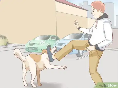 Imagen titulada Fight off a Dog Step 5