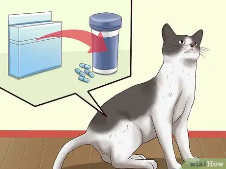 Imagen titulada Sedate a Cat Step 4