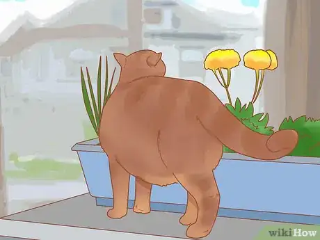 Imagen titulada Prevent Cats from Eating Plants Step 12