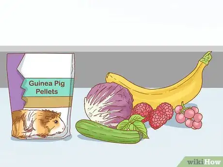Imagen titulada Help Your Guinea Pig Adjust to You Step 2