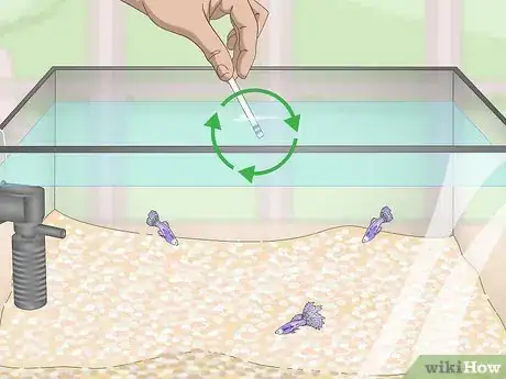 Imagen titulada Lower Your Nitrate_Nitrite Levels in Your Fish Tank Step 4