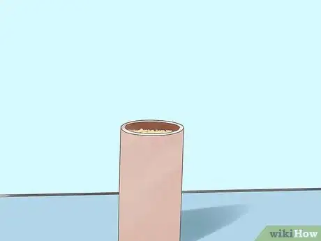Imagen titulada Catch Crickets Step 15