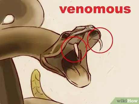Imagen titulada Treat a Snake Bite Step 18