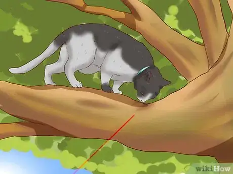 Imagen titulada Get a Cat out of a Tree Step 5