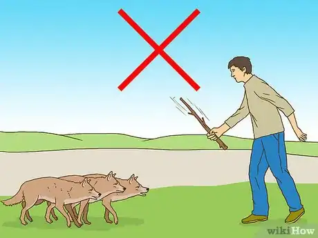 Imagen titulada Act when Near a Coyote Step 6
