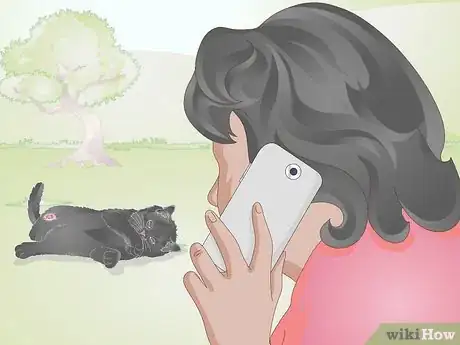 Imagen titulada Take Care of a Kitten with a Broken Leg Step 3