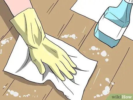 Imagen titulada Do Pest Control With a Vacuum Cleaner Step 7Bullet3