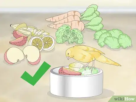 Imagen titulada Keep a Canary Groomed Step 10