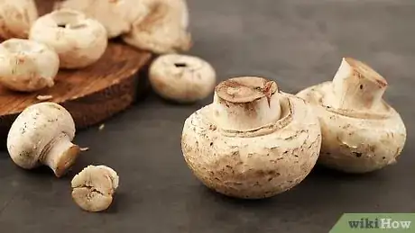 Imagen titulada Make a Mushroom Spore Print Step 1