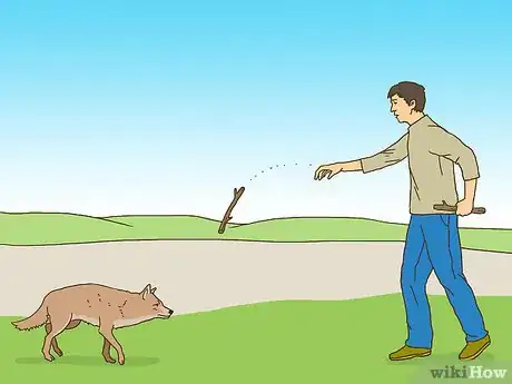 Imagen titulada Act when Near a Coyote Step 4