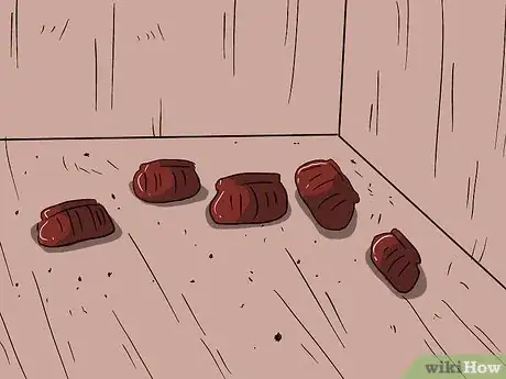 Imagen titulada Do Pest Control With a Vacuum Cleaner Step 7Bullet2