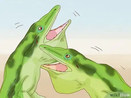 Imagen titulada Determine the Sex of a Green Anole Step 5