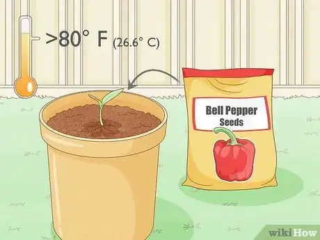 Imagen titulada Grow Bell Peppers Step 4
