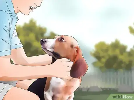 Imagen titulada Keep Flies Off Dogs Step 8