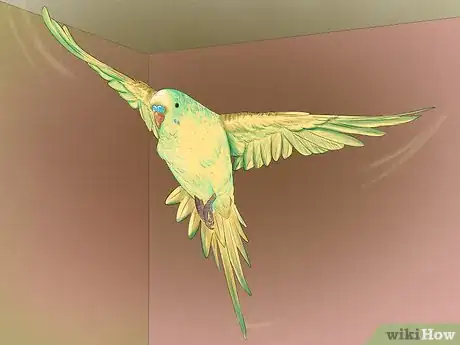 Imagen titulada Take Care of a Budgie Step 16