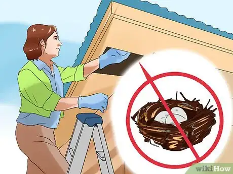 Imagen titulada Chase a Bird out of an Enclosed Porch or a House Step 11