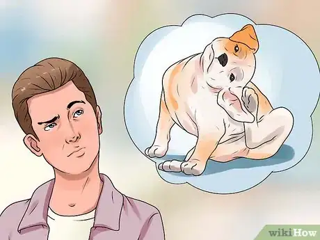Imagen titulada Identify Mange on Dogs Step 9