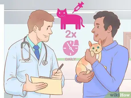 Imagen titulada Administer Insulin to a Cat Step 7