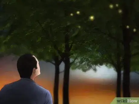 Imagen titulada Catch a Firefly Step 5