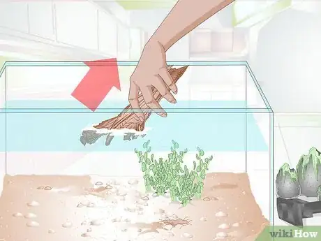 Imagen titulada Empty an Aquarium Step 3