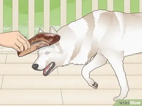 Imagen titulada Stop a Dog's Unwanted Behavior Step 13