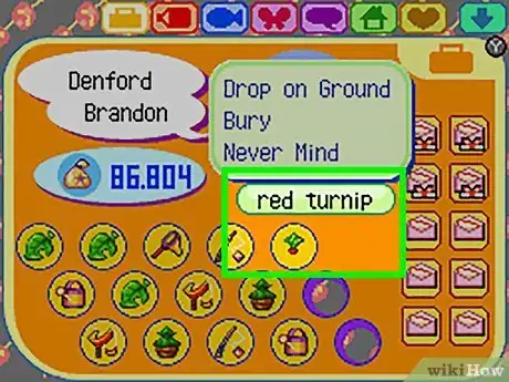 Imagen titulada Get Red Turnips in Animal Crossing Step 7
