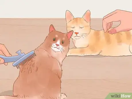 Imagen titulada Administer Insulin to a Cat Step 9