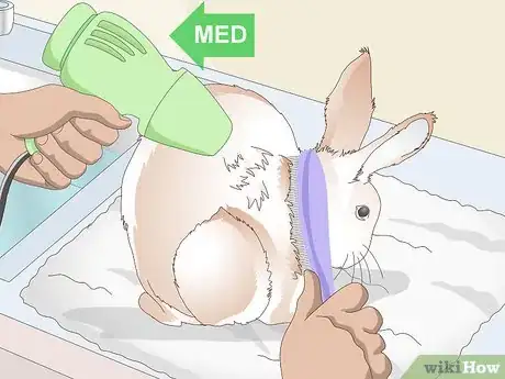 Imagen titulada Keep Your Rabbit's Fur Clean and Untangled Step 17
