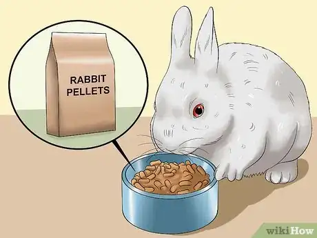 Imagen titulada Feed a House Rabbit Step 2