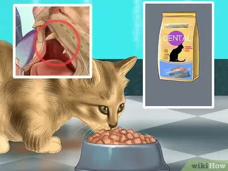 Imagen titulada Choose a Diet for an FIV Cat Step 8