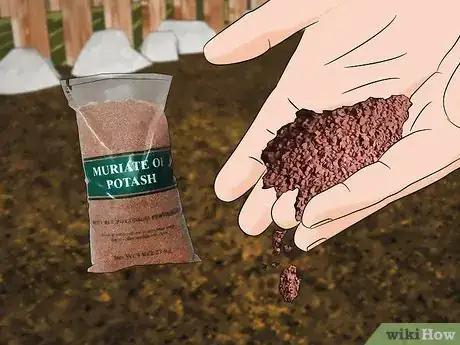 Imagen titulada Add Potassium to an Organic Garden Step 1