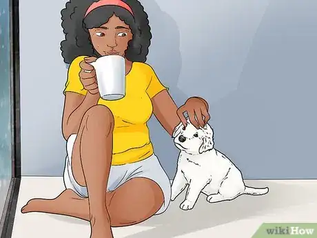 Imagen titulada Train a Dog Step 12