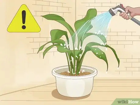 Imagen titulada Save an Overwatered Plant Step 6
