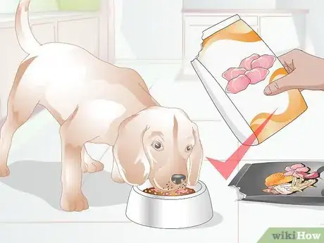 Imagen titulada Switch Dog Foods Gradually Step 13
