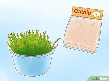 Imagen titulada Prevent Cats from Eating Plants Step 14