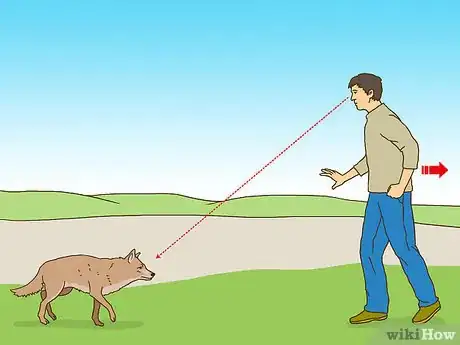 Imagen titulada Act when Near a Coyote Step 1