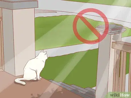 Imagen titulada Recognize Skin Cancer in Cats Step 12