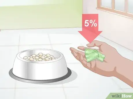 Imagen titulada Create a Feeding Routine for Your Dog Step 9