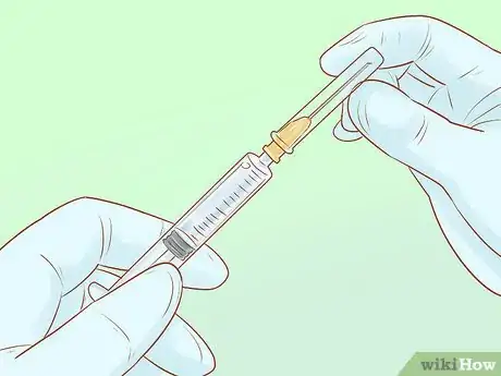 Imagen titulada Administer Insulin to a Cat Step 6