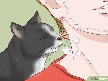 Imagen titulada Calm Your Cat with Aromatherapy Step 11